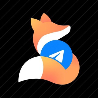 TGFox TEAM