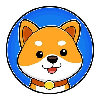 BabyDogecoin Arab 🇦🇪🇸🇦🇹🇳🇾🇪🇪🇬 Chat
