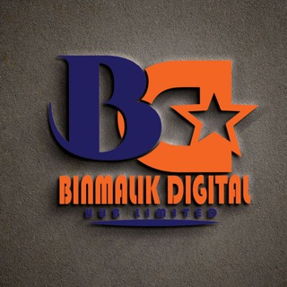 Binmalik Digital Hub Limited...1