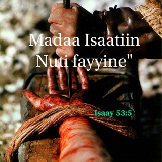 Walaloo Fi Barnoota Tawaahidoo