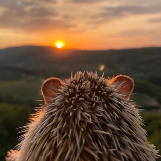 Ульяна 🌾
