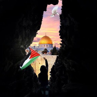 Daily Palestine & Islamic News/Updates