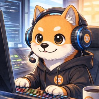 KOBX Official Channel