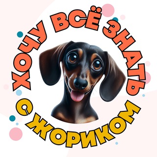 ХОЧУ ВСЁ ЗНАТЬ🐣