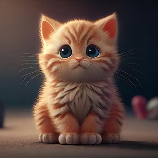 У меня котёнок!