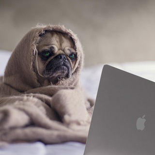 Cozy Trader (Pump.fun Solana memes trading)