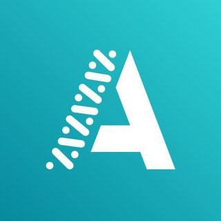 Agensip UI UX Agency
