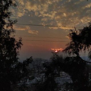 Ramazonov