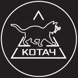 Котач🇷🇺🐈🌲