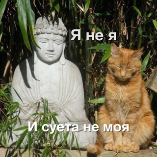 Аня