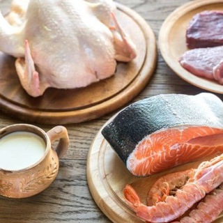 Primal Diets | Carnivore, Aajonus, Keto, Weston Price, etc.