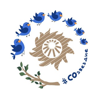СОзвездие
