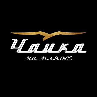 Чайка на Пляже