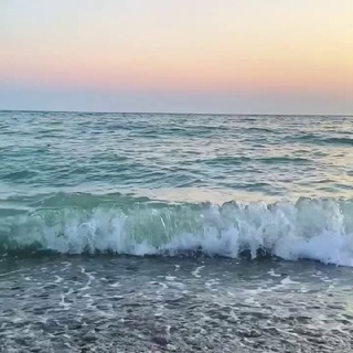 Чат Южного компаса 🍀 Путешествия