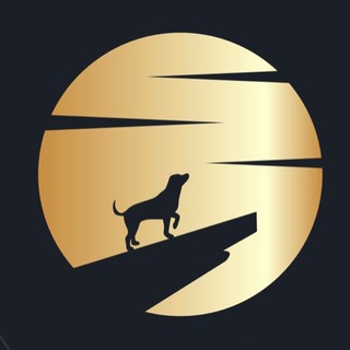 MoonDogecoin