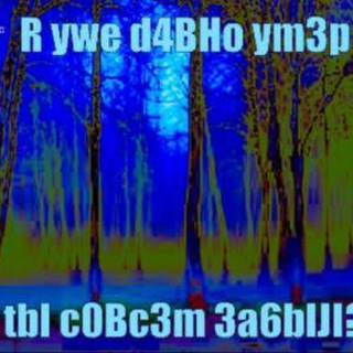 предложка леса