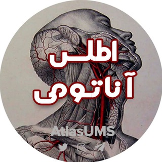 گروه آناتومی اطلس