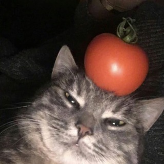 пепельница