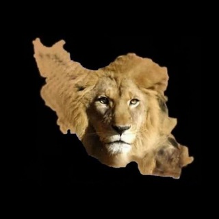 میهن پرستان
