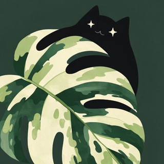 Witch’s familiar