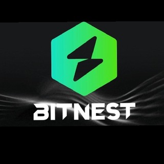 BitNest Project