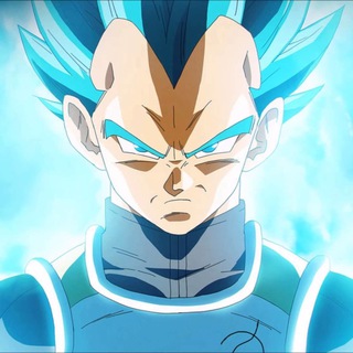 Vegeta Prince of Shitcoins 🥶