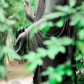 Mua Bán Trao Đổi