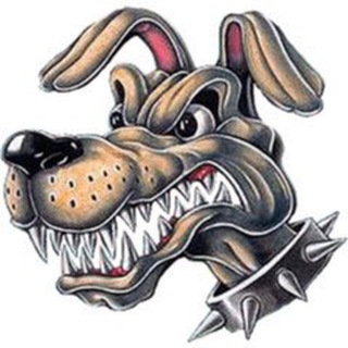 Чат DISTEMPER