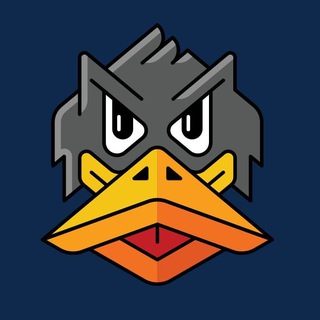 Black Duck OS Chat
