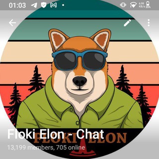 FLOKI ELON (PAKISTAN)🇵🇰