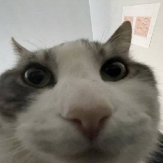 MyChannel