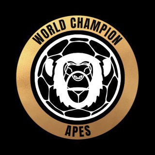 WCAPES Community ⚽️