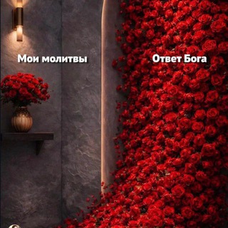 💞Vera💞