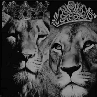 👑 𝕴 𝕸 𝕻 𝕰 𝕽 𝕴 𝕬