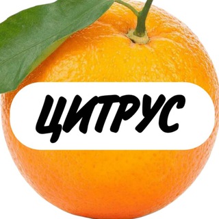 Чат магазина «Цитрус»