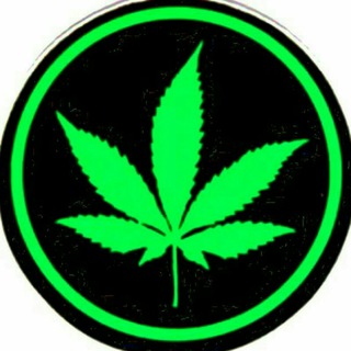 @weedfazee 🌿🪴