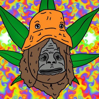 TrippyTravelers