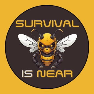 🐝 Survival Is Near | Public Hive