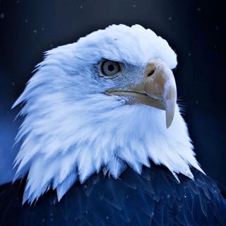 Emirhan
