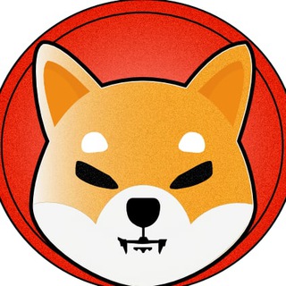 Shiba Sweden 🇸🇪