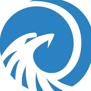 Rexon Capital Australia 🇦🇺