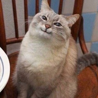 Meme it up