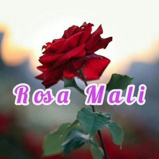 ❤️⃟⃟◍̸̸̸̸̣̣̣❀𝐑𝐨𝐬𝐚 wepals❤️⃟⃝̮̮̮̯̯̯😌 ❤️⃟⃝̮̮̮̯̯̯😌
