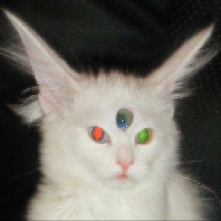 Катерина