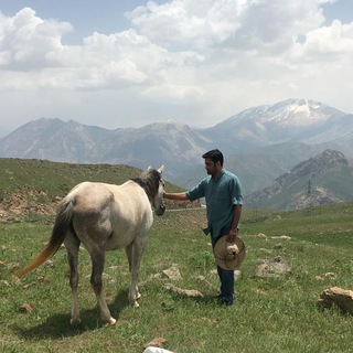 کولی و باران