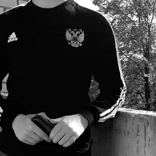 •𝑍𝐴𝑀𝐴𝑁𝑂𝑉