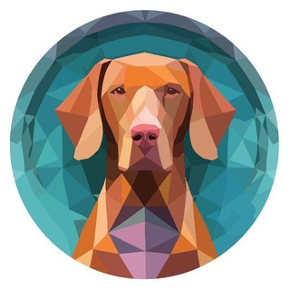 🇮🇷 Persian Hungarian Vizsla Inu