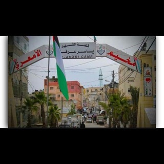 @Alamari_camp_bot2