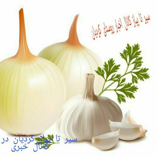 سیر تا پیازکردیان بی واسطه