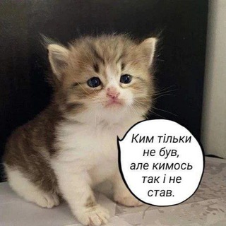Інтро мого дня.